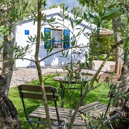 Blue House By El-pi Tours *