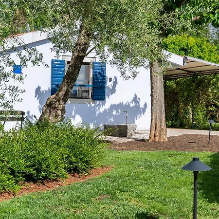 Blue House By El-pi Tours 펜션 *